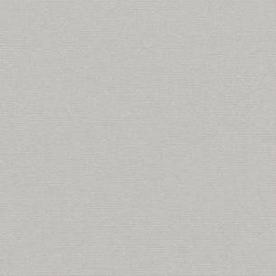 Sunbrella New 5035 Silver