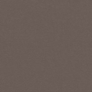 Sunbrella New 5548 Taupe