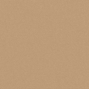 Sunbrella Plus 5026 Dune