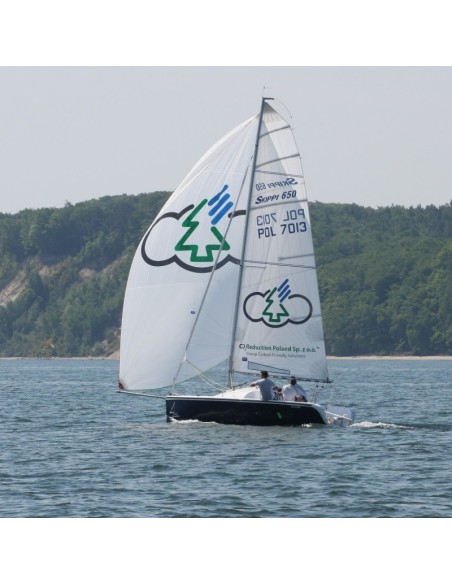 Fok Scandynavia / Skippi 650 regatowy 