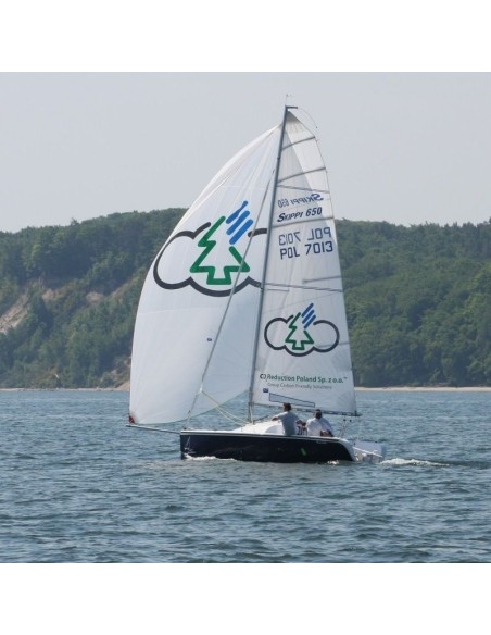 Genaker scandynavia / Skippi 650 regatowy 
