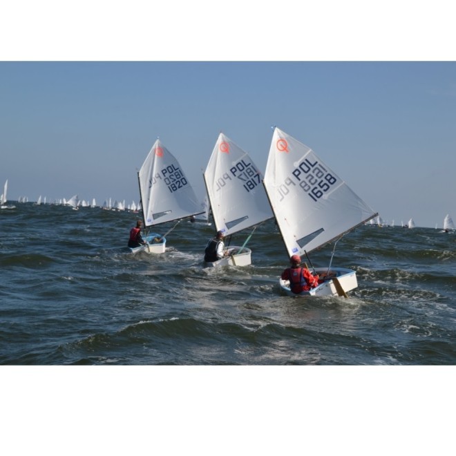 Żagiel Optimist - VS2 regatowy 